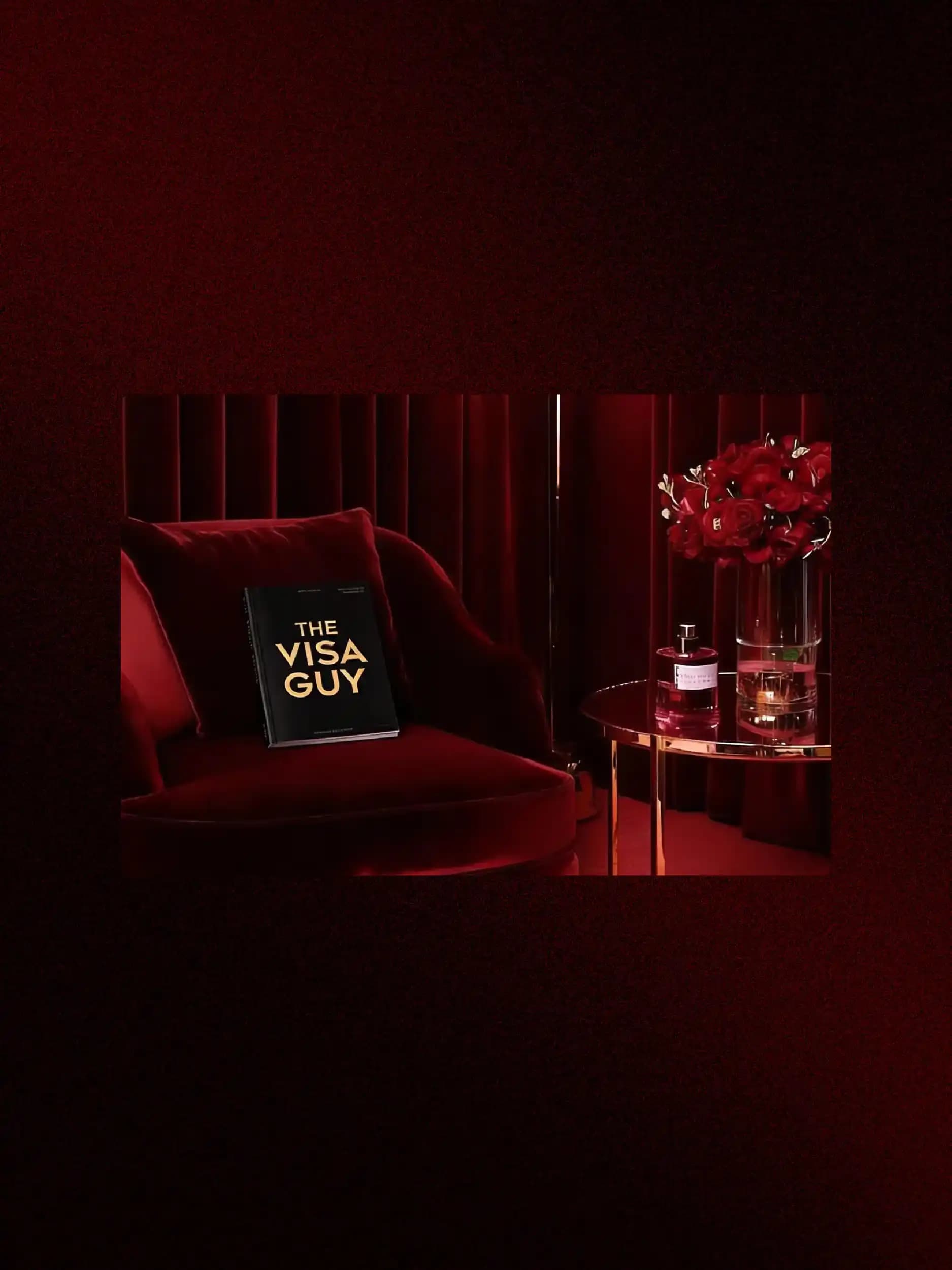 Premium Visa service 3