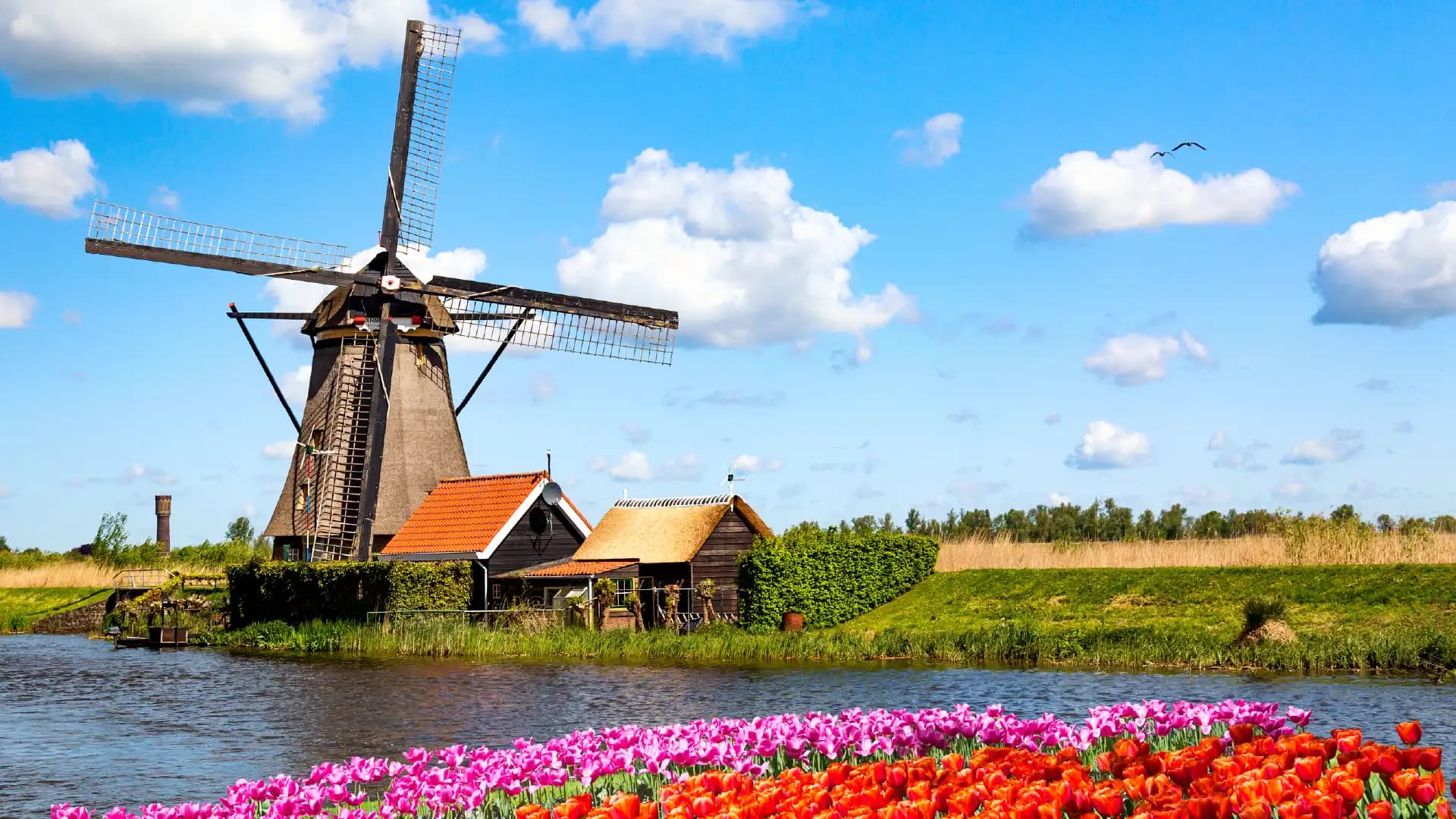 Netherland